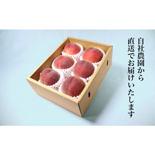 ふるさと納税 もも 山梨県 笛吹市 2026年発送 糖度13度基準 いちのみやの桃 5〜7玉 約2kg 扇状地・Y字栽培 肥沃な大地と沢山の日光で育った桃 バイパス清果園 …の画像