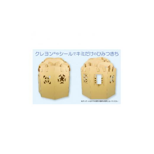 ふるさと納税 雑貨・日用品 玩具 愛知県 半田市 ダンボール遊具punnyほいく　ダンボールルームまる 1492187_4