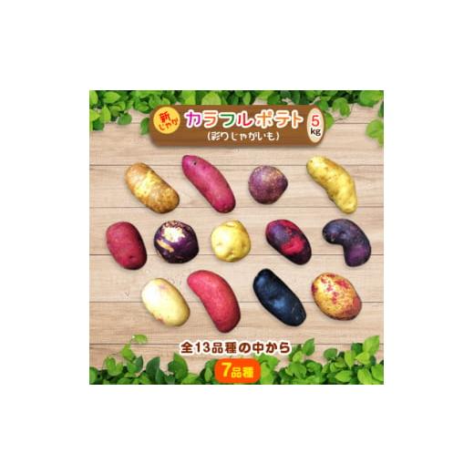 ふるさと納税 野菜類 じゃがいも 北海道 帯広市 十勝ガールズ農場 直送 新じゃが「カラフルポテト(彩りじゃがいも)」いろいろ試せる「7種」5kg 1146704
