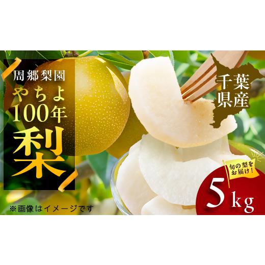 ふるさと納税 梨 千葉県 八千代市 2026年発送先行受付 周郷梨園の