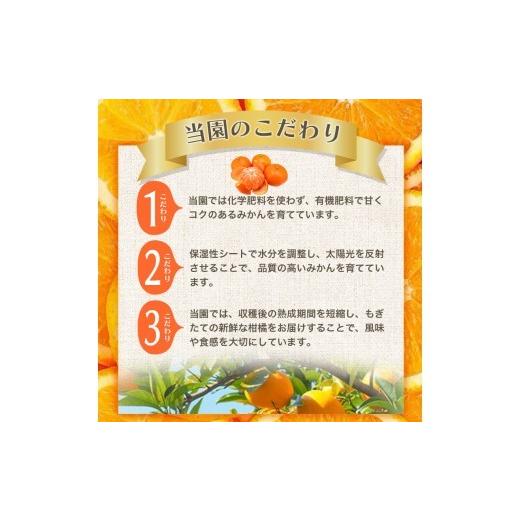 ふるさと納税 果物類 みかん 和歌山県 北山村  2026年12月発送予約 ご家庭用 こだわりの有田みかん 約2kg 光センサー選別 農家直送 ／ みかん ミカン 有田みか… |  | 02