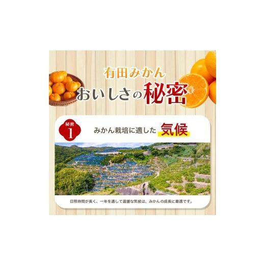 ふるさと納税 果物類 みかん 和歌山県 北山村  2026年12月発送予約 ご家庭用 こだわりの有田みかん 約2kg 光センサー選別 農家直送 ／ みかん ミカン 有田みか… |  | 06