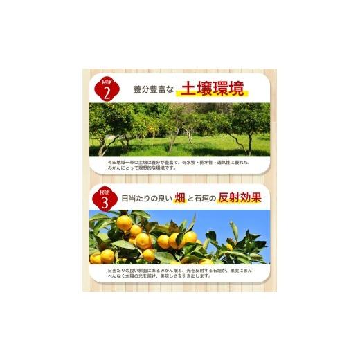 ふるさと納税 果物類 みかん 和歌山県 北山村  2026年12月発送予約 ご家庭用 こだわりの有田みかん 約2kg 光センサー選別 農家直送 ／ みかん ミカン 有田みか… |  | 07