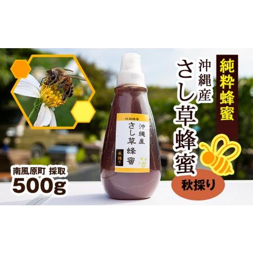ふるさと納税 加工品等 はちみつ 沖縄県 南風原町 純粋蜂蜜　沖縄産　さし草蜂蜜　秋採り　500g　南風原町採取_1