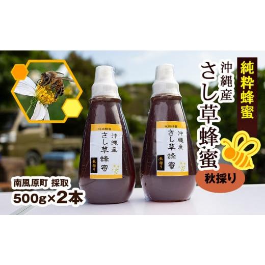 ふるさと納税 加工品等 はちみつ 沖縄県 南風原町 純粋蜂蜜 沖縄産 さし草蜂蜜 秋採り 500g×2本 南風原町採取の画像