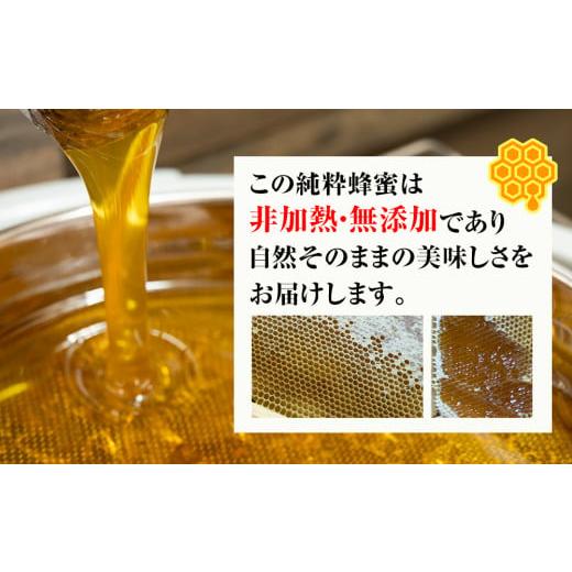 ふるさと納税 加工品等 はちみつ 沖縄県 南風原町 純粋蜂蜜 沖縄産 さし草蜂蜜 秋採り 500g×2本 南風原町採取の画像