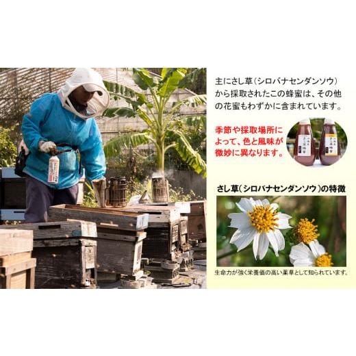 ふるさと納税 加工品等 はちみつ 沖縄県 南風原町 純粋蜂蜜 沖縄産 さし草蜂蜜 秋採り 500g×2本 南風原町採取の画像