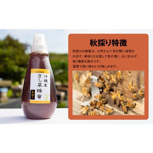 ふるさと納税 加工品等 はちみつ 沖縄県 南風原町 純粋蜂蜜 沖縄産 さし草蜂蜜 秋採り 500g×2本 南風原町採取の画像
