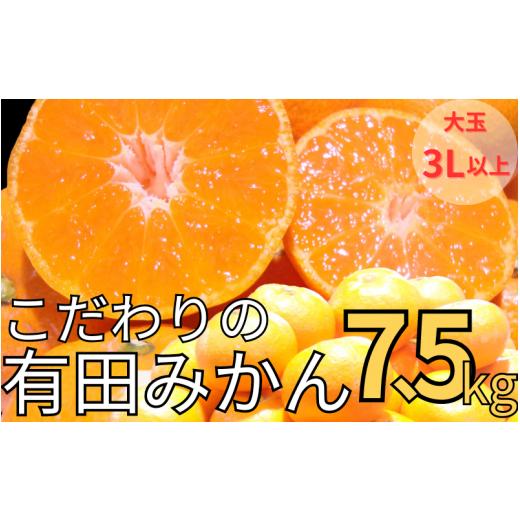 ふるさと納税 果物類 みかん 和歌山県 串本町 有田みかん 約7.5kg 大玉3L以上 有機質肥料100% 2026年11月〜12月に順次発送予定(お届け日指定不可) / みかん …