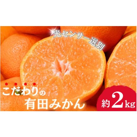 ふるさと納税 果物類 みかん 和歌山県 串本町 2025年11月発送予約分 ＼光センサー選別/農家直送 こだわりの有田みかん 約2kg ご家庭用 11月発送 みかん ミカ…