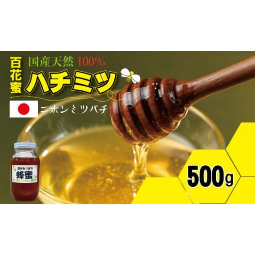 ふるさと納税 加工品等 はちみつ 佐賀県 小城市 はちみつ(日本蜜蜂)蜂蜜(百花蜜)500g 西山養蜂 日本 ハチミツ honey