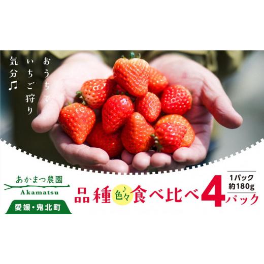 ふるさと納税 いちご 愛媛県 鬼北町 2027年春収穫分 食べ比べ いちご4パック | レッドパール 紅い雫 紅ほっぺ かおり野 イチゴ 苺 フルーツ あかまつ農園 20…