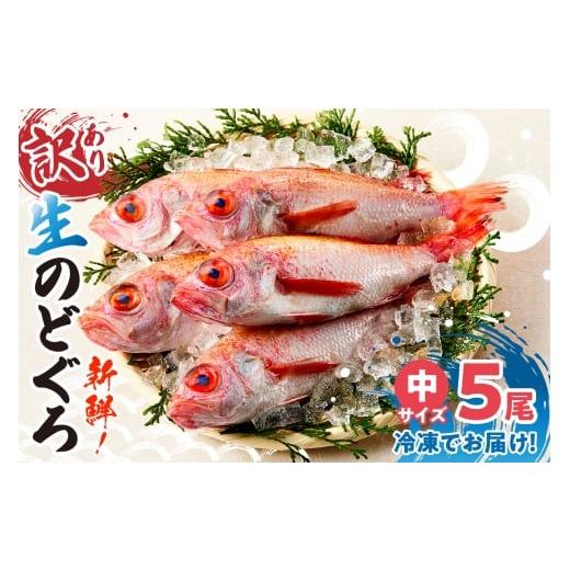 ふるさと納税 魚貝類 のどぐろ 兵庫県 香美町 兵庫県香住産 処理済 のどぐろ中5匹 1匹約150g前後 計約700〜800g 冷凍 令和8年3月下旬以降、順次発送予定 日本…