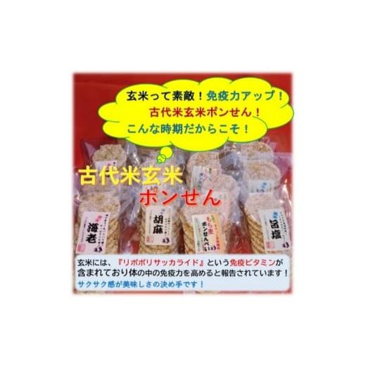 ふるさと納税 茨城県 石岡市 (G37) 第一回石岡セレクト認証商品 古代米玄米ポンせん(10枚入り)4種類12袋セット