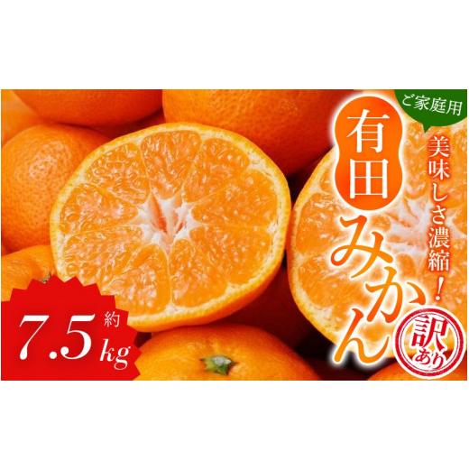 ふるさと納税 果物類 みかん 和歌山県 古座川町 訳あり みかん 7.5kg 訳あり 有田みかん 約7.5kg サイズ混合 / フルーツ 果物 くだもの 柑橘 みかん ミカン …