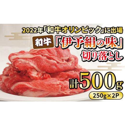 ふるさと納税 愛媛県 愛南町 早期予約 数量限定 和牛 伊予牛絹の味 切り落とし 500g (250g×2P) 小分け 国産 ブランド 牛肉 焼肉 愛媛県 発送期間:8月上旬〜…