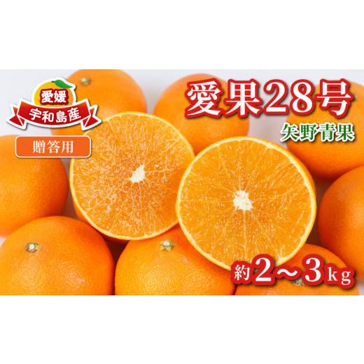 ふるさと納税 果物類 みかん 愛媛県 宇和島市 みかん 贈答用 愛果28号 2 ~ 3kg 化粧箱入 矢野青果 柑橘 蜜柑 mikan 高級 ブランド 限定 人気 品種 甘い ゼリー…