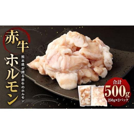 ふるさと納税 熊本県 相良村 赤牛ホルモン 500g (250g×2パック) 和牛 牛肉