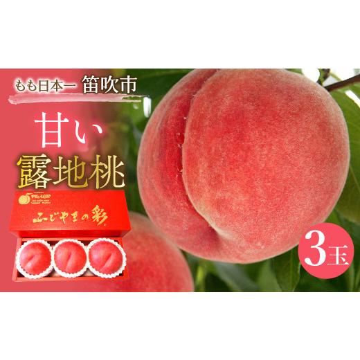 ふるさと納税 もも 山梨県 笛吹市 ＪＡふえふき露地桃3玉 高糖度（約1.0kg） 010-015-26yの画像