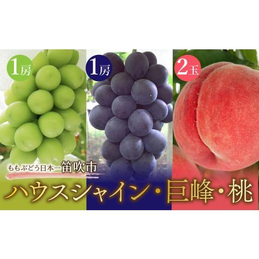 ふるさと納税 山梨県 笛吹市 JAふえふき ハウスシャイン・巨峰・桃セット(シャイン1房約400g・巨峰1房約400g・桃2粒約200g) 010-016