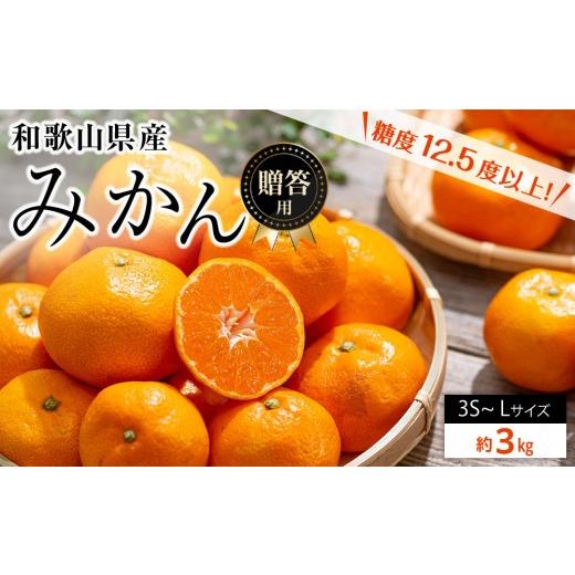 ふるさと納税 果物類 みかん 和歌山県 那智勝浦町 和歌山県産 糖度 12.5度以上 秀品 贈答用 みかん 3kg 3S 〜 Lサイズ混合[MG54]