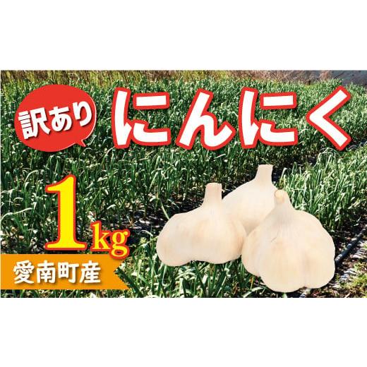 ふるさと納税 愛媛県 愛南町 訳あり 自然 乾燥 にんにく 1kg 7000円 (発送期間:5月中旬〜無くなり次第終了) ガーリック 産地直送 国産 農家直送 期間限定 …