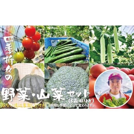ふるさと納税 セット・詰合せ 秋田県 大館市 四季折々の野菜・山菜セット（5品目ほど） 45P3203 ／ 東北 秋田 大館 野菜 新鮮 農産物 農家 なす きゅうり ピー…の画像