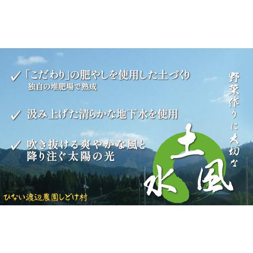 ふるさと納税 セット・詰合せ 秋田県 大館市 四季折々の野菜・山菜セット（5品目ほど） 45P3203 ／ 東北 秋田 大館 野菜 新鮮 農産物 農家 なす きゅうり ピー…の画像