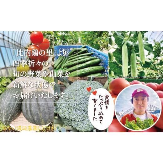 ふるさと納税 セット・詰合せ 秋田県 大館市 四季折々の野菜・山菜セット（5品目ほど） 45P3203 ／ 東北 秋田 大館 野菜 新鮮 農産物 農家 なす きゅうり ピー…の画像