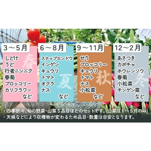 ふるさと納税 セット・詰合せ 秋田県 大館市 四季折々の野菜・山菜セット（5品目ほど） 45P3203 ／ 東北 秋田 大館 野菜 新鮮 農産物 農家 なす きゅうり ピー…の画像