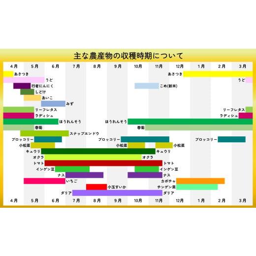 ふるさと納税 セット・詰合せ 秋田県 大館市 四季折々の野菜・山菜セット（5品目ほど） 45P3203 ／ 東北 秋田 大館 野菜 新鮮 農産物 農家 なす きゅうり ピー…の画像