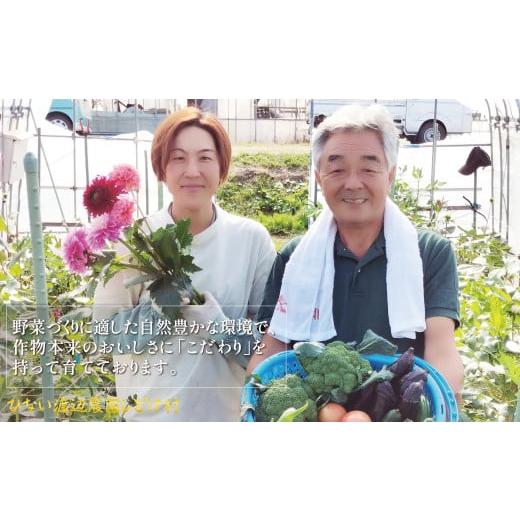 ふるさと納税 セット・詰合せ 秋田県 大館市 四季折々の野菜・山菜セット（5品目ほど） 45P3203 ／ 東北 秋田 大館 野菜 新鮮 農産物 農家 なす きゅうり ピー…の画像