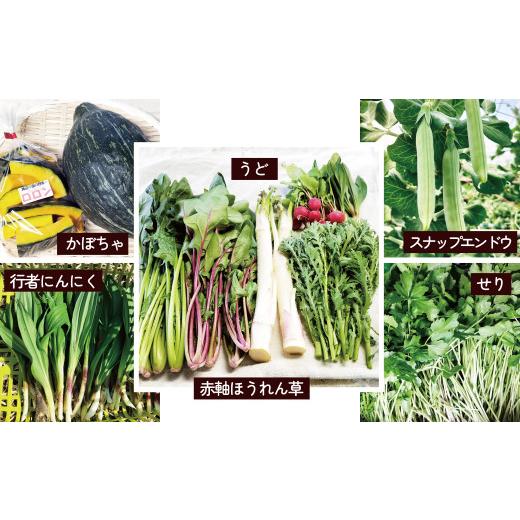 ふるさと納税 セット・詰合せ 秋田県 大館市 四季折々の野菜・山菜セット（5品目ほど） 45P3203 ／ 東北 秋田 大館 野菜 新鮮 農産物 農家 なす きゅうり ピー…の画像
