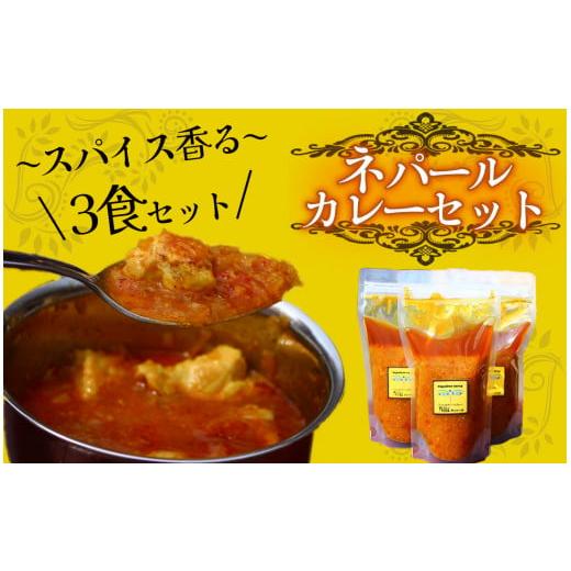 ふるさと納税 静岡県 南伊豆町 ティハールのネパールカレールーセット 2人分×3袋 [ カレー ネパールカレー カレールー カレーセット 手作り ヴィーガン ア…