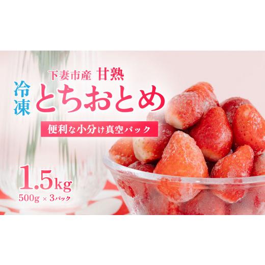 ふるさと納税 いちご 茨城県 下妻市 訳あり 冷凍いちご 1.5kg ( 500g x 3 ) 甘熟 完熟 2026年4月ごろ発送予定 凍眠冷凍 Ben`s Berry いちご イチゴ 苺 とち…