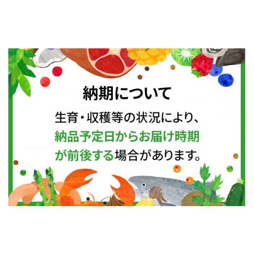 ふるさと納税 秋田県 藤里町 令和5年度産 秋田県産 あきたこまち【白米】10kg×1袋｜furusatochoice｜03