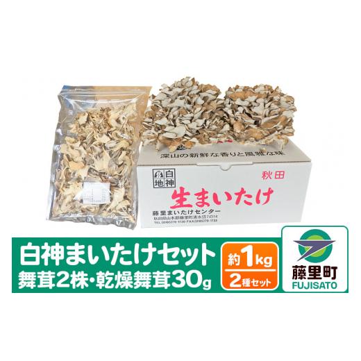 ふるさと納税 秋田県 藤里町 白神まいたけセット（舞茸2株、乾燥舞茸30g）約1kg｜furusatochoice｜02