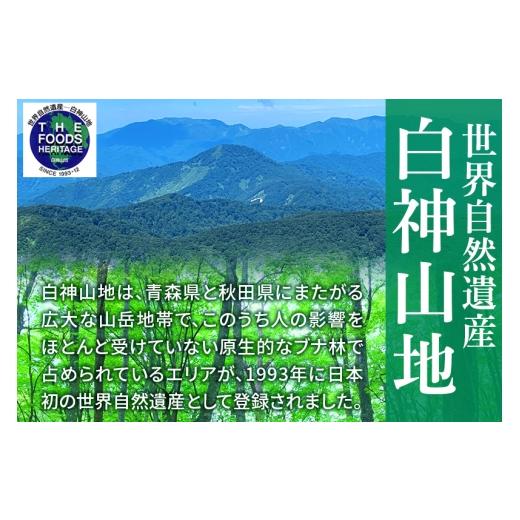 ふるさと納税 水・砿物お水 秋田県 藤里町  定期便11ヶ月 白神景観（500ml×24本） 水 砿物お水