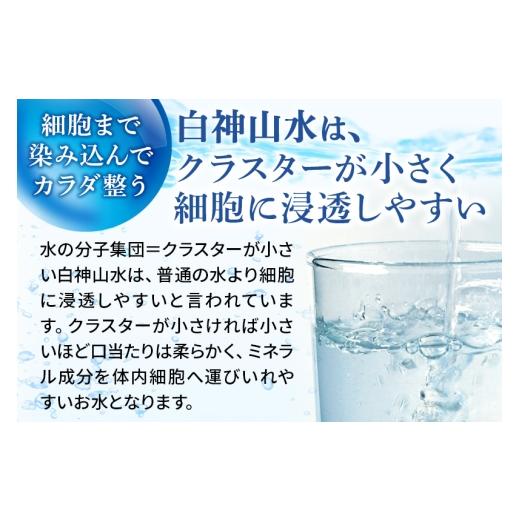 ふるさと納税 水・砿物お水 秋田県 藤里町  定期便11ヶ月 白神景観（500ml×24本） 水 砿物お水