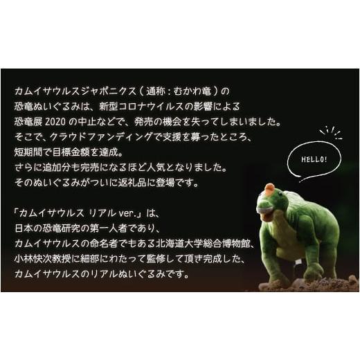 ふるさと納税 雑貨・日用品 北海道 むかわ町 カムイサウルス リアルver. カムイサウルス 恐竜 きょうりゅう ぬいぐるみ リアル かわいい MKWG004_2