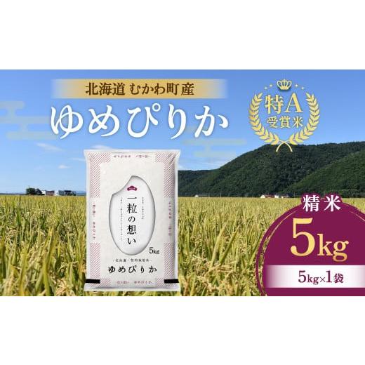 ふるさと納税 北海道 むかわ町 北海道のブランド米!北海道むかわ町産ゆめぴりか 精米5kg [ 米 こめ お米 白米 精米 ゆめぴりか 道産米 北海道ブランド ごは…