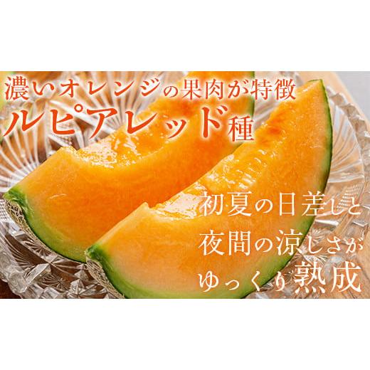 メロン メロン赤肉 北海道 むかわ町  2025年発送先行受付 ほべつメロン2玉(約1.6Kg×2玉) むかわ町穂別特産品 ふるさと納税 人気 【月末】 おすすめ ラン…