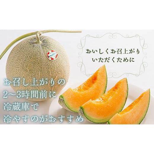 メロン メロン赤肉 北海道 むかわ町  2025年発送先行受付 ほべつメロン2玉(約1.6Kg×2玉) むかわ町穂別特産品 ふるさと納税 人気 【月末】 おすすめ ラン…