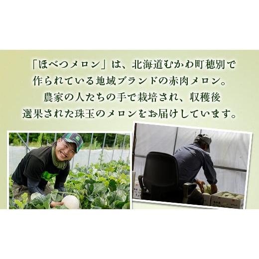 メロン メロン赤肉 北海道 むかわ町  2025年発送先行受付 ほべつメロン2玉(約1.6Kg×2玉) むかわ町穂別特産品 ふるさと納税 人気 【月末】 おすすめ ラン…