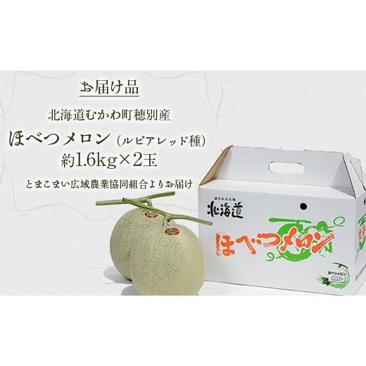メロン メロン赤肉 北海道 むかわ町  2025年発送先行受付 ほべつメロン2玉(約1.6Kg×2玉) むかわ町穂別特産品 ふるさと納税 人気 【月末】 おすすめ ラン…