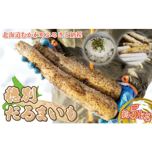 ふるさと納税 北海道 むかわ町 穂別だるまいも 約5kg(5〜10本) [ 穂別だるまいも いも 長いも 粘り とろろ ]