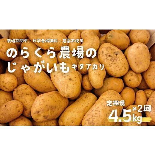 ふるさと納税 野菜類 じゃがいも 長野県 佐久穂町 定期便2カ月 のらくら農場のじゃがいも(キタアカリ) 9.0kg 4.5kg×2回 [NK-T512] 定期便2ヶ月