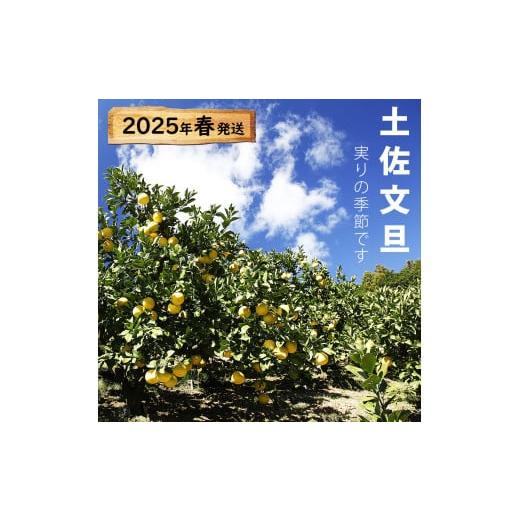 ふるさと納税 高知県 土佐市 【果樹園直送】土佐文旦特選品贈答用　約10kg　L〜2L　（20〜25個）　果物　柑橘　フルーツ　ぶんたん　ブンタン　分担　高知県土…｜furusatochoice｜03