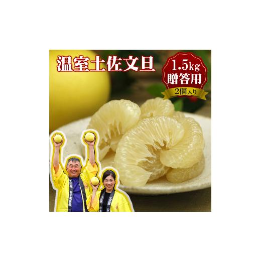 ふるさと納税 みかん・柑橘類 高知県 土佐市 先行予約 [12月発送]土佐文旦 温室土佐文旦 特選秀品ご贈答用中箱 2個入り 約1.5kg[2026年12月上旬〜2027年1…
