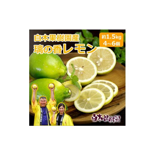ふるさと納税 みかん・柑橘類 レモン 高知県 土佐市 先行予約 璃の香レモン 約1.5kg (4〜6個)訳ありご家庭用 [2026年8月下旬〜9月下旬頃発送] / 果物…